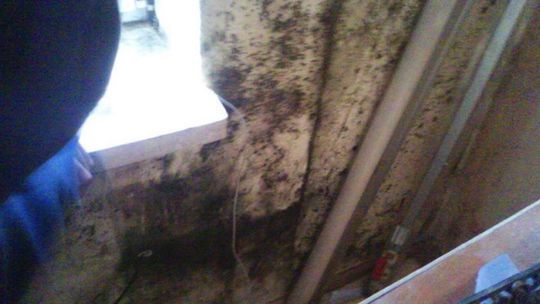 Najlepszy blok socjalny w Radomiu?