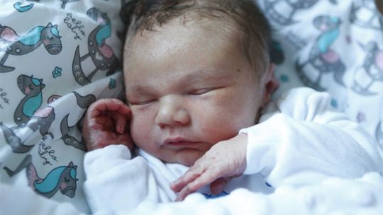 Najmłodsi Radomianie - zdjęcia dzieci ur. 8 stycznia 