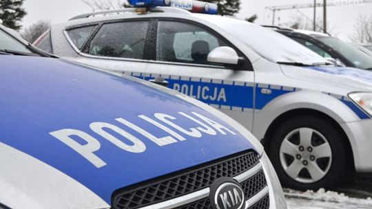 Napili się i kradli drzewo z lasu