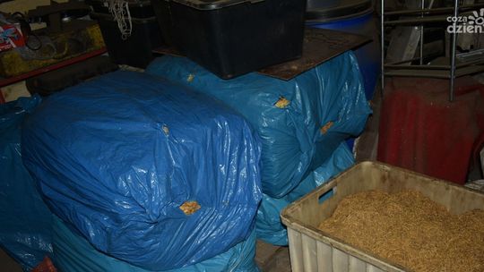 Naraził Skarb Państwa na stratę ponad 600 tys. zł 