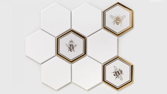 Natura w Twoim wnętrzu — może w formie wyjątkowej mozaiki?