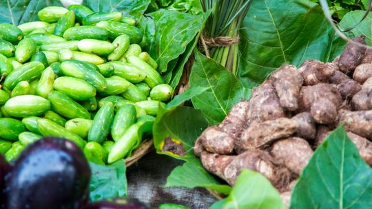 Naturalne prebiotyki w walce o zdrowie i urodę