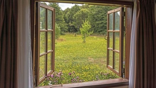 Widok na ogród z otwartego okna