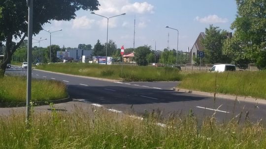 „Nic nie widać!”. Kierowcy narzekają na trawy