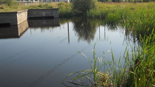 Nie ignoruj zakazów kąpieli