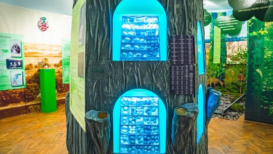 Nie tylko dla miłośników przyrody 