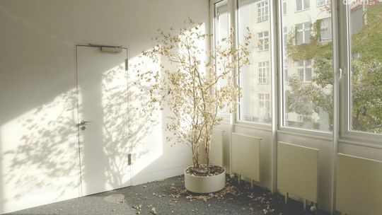 Niebezpieczne składniki w powietrzu? IDEAL AP 60 Pro może pomóc