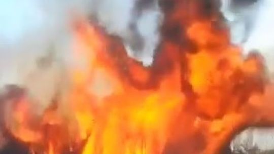 Niebezpieczny pożar lasu w Jastrzębiu (wideo)