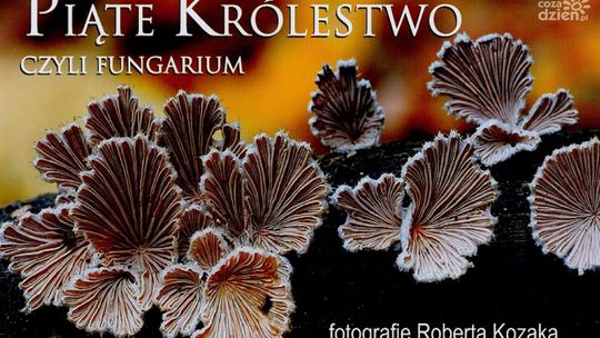 Nietypowa wystawa w Malczewskim Nietypowa wystawa w Malczewskim