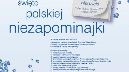 Niezapominajka w Jedlin-Letnisko!