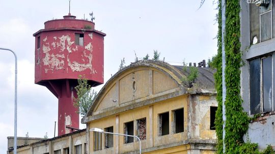 Niezwykłe Planty - ZOBACZ GALERIE ZDJĘĆ