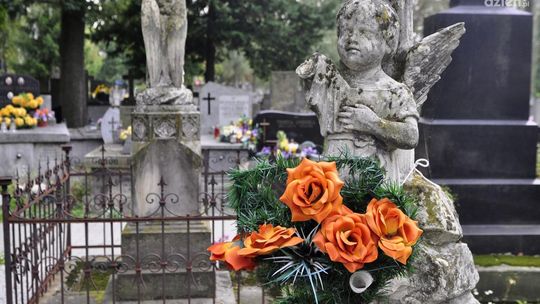 Niezwykły projekt na radomskim cmentarzu