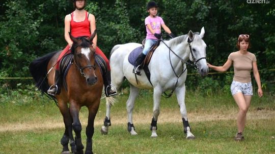 NJFAJNIEJSI PÓŁKOLONIŚCI: ZSI