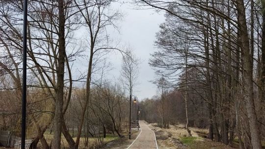 Nowa ścieżka na terenie Jedlni-Letnisko