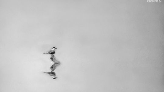 Nowa wystawa fotografii w Galerii Kina Helios