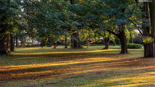 Nowa wystawa w Resursie