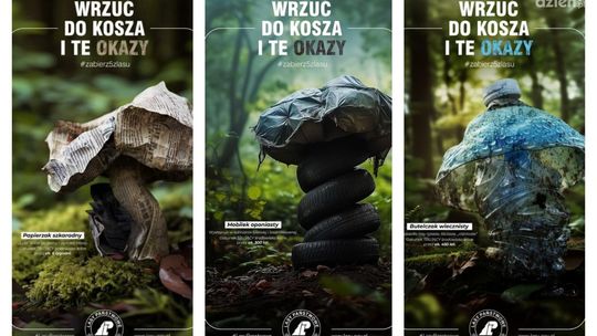 Nowe gatunki grzybów. Lasy Państwowe apelują o sprzątanie lasów 