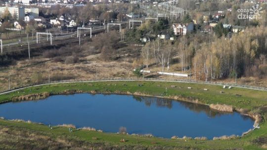 Nowe nasadzenia przy stawie na Godowie. Miasto ma już plan