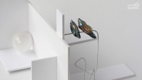 Nowe wystawy w Centrum Rzeźby