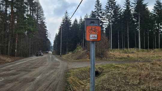 Nowy szlak rowerowy w Puszczy Kozienickiej. To część gigantycznego szlaku na Mazowszu