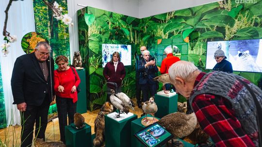 O inwazyjnych zwierzętach i roślinach. Barwna wystawa w Malczewskim