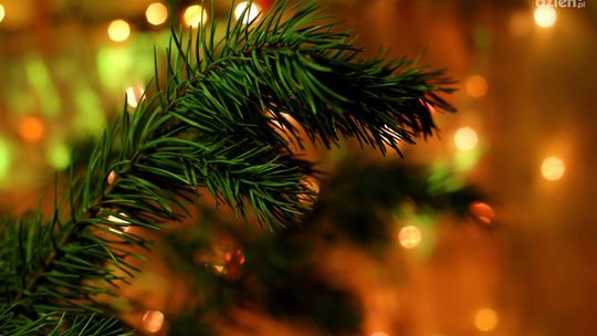 O Mikołajkowym szale zakupów – czyli historia pewnej kobiety.