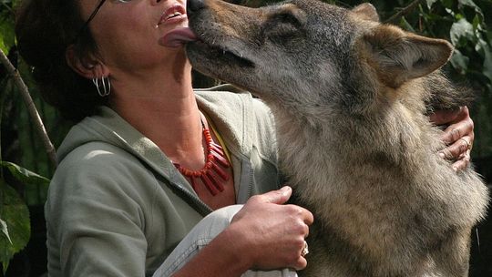 O miłości… do zwierząt – spotkanie z Dorotą Sumińską