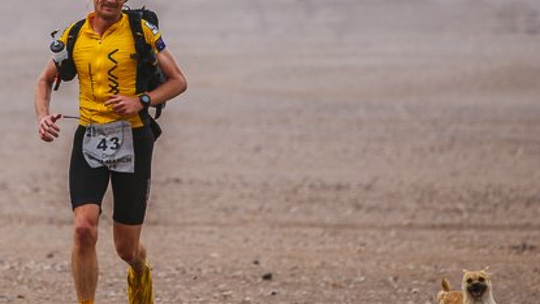 O psie, który przebiegł...pustynię!