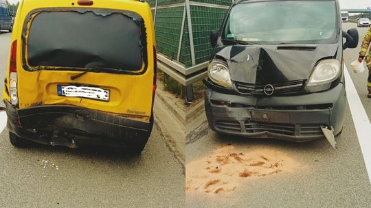 O włos od wypadku. Sarna wbiegła na trasę S7 