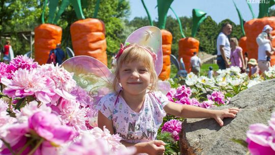 Obudź w sobie radość dziecka! Obudź w sobie radość dziecka!