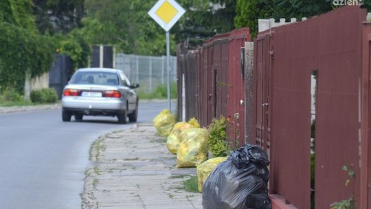 Od 1 sierpnia zadziałają nowe zasady odbioru śmieci? Wątpliwe
