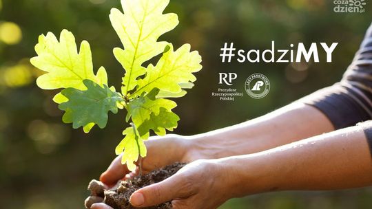 Odbierz sadzonkę w ramach akcji #sadziMY