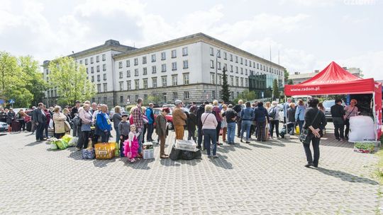 Oddawali makulaturę za sadzonki