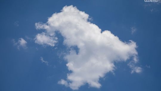 Odkryj skuteczność i wszechstronność worków filtracyjnych: Kluczowy element utrzymania czystego i zdrowego środowiska