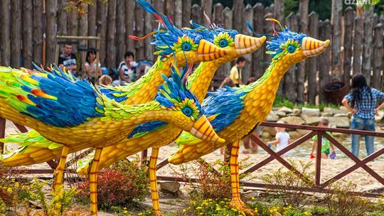 Odkryj Wodny Świat i poznaj jego mieszkańców!