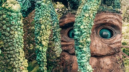 Odliczaj z Magicznymi Ogrodami