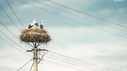 Odliczamy godziny do Co Za Jazda! Iłża