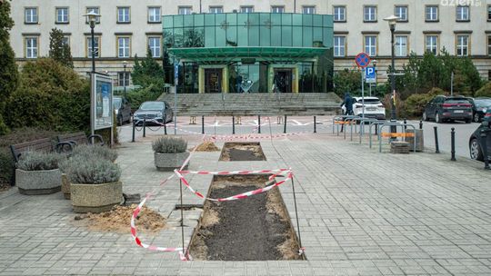 Odnowione ławki na ul. Żeromskiego. Zniknie wyspa ciepła sprzed Urzędu Miejskiego