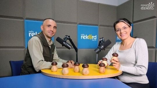 Ogar: Deszczowa aura najlepsza na grzyby