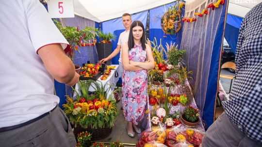 Ogólnopolskie Targi Papryki w Przytyku. Czy w tym roku impreza się odbędzie?