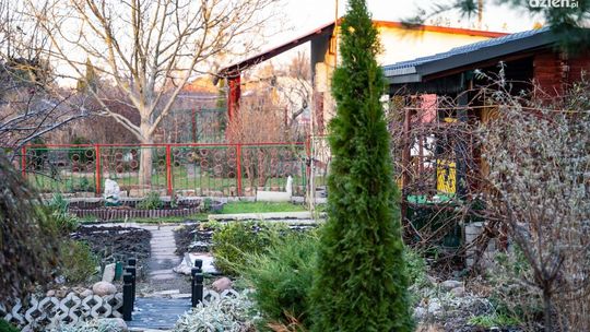 Ogródki działkowe z dofinansowaniem