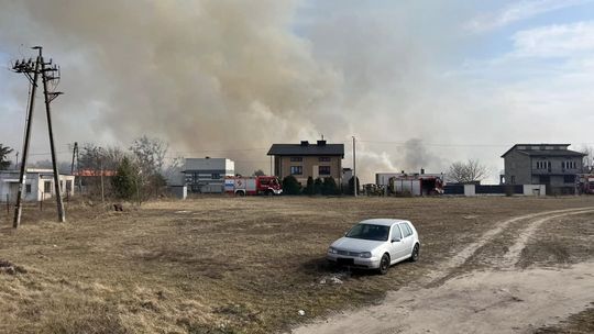 Ogromny pożar pod Radomiem. Spłonęło 90 ha traw 