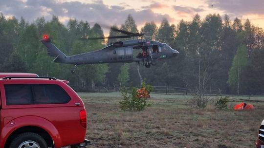 Około 100 hektarów lasu spłonęło w Prosnej