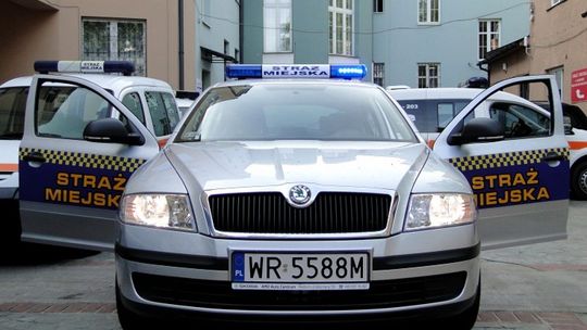 Okradli śpiącego na przystanku mężczyznę pod kamerą!