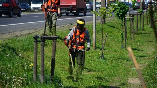 Opóźnienia w koszeniu. Miasto zrywa umowę