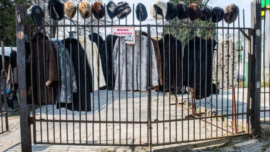 Ostatnie dni targu na Radomiaku