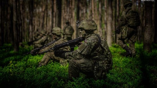 Ostatnie powołanie terytorialsów