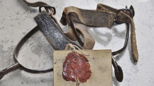 Ostrogi Dionizego Czachowskiego trafiły do Radomia