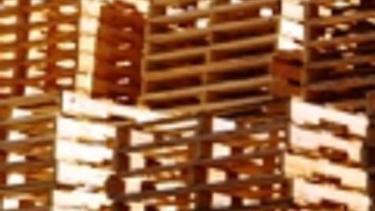 Oszukał własną firmę na 100 tys. zł!