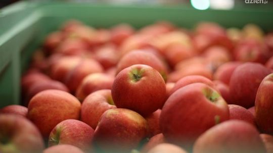 Oszustwo na jabłkach. Trzy osoby zatrzymane